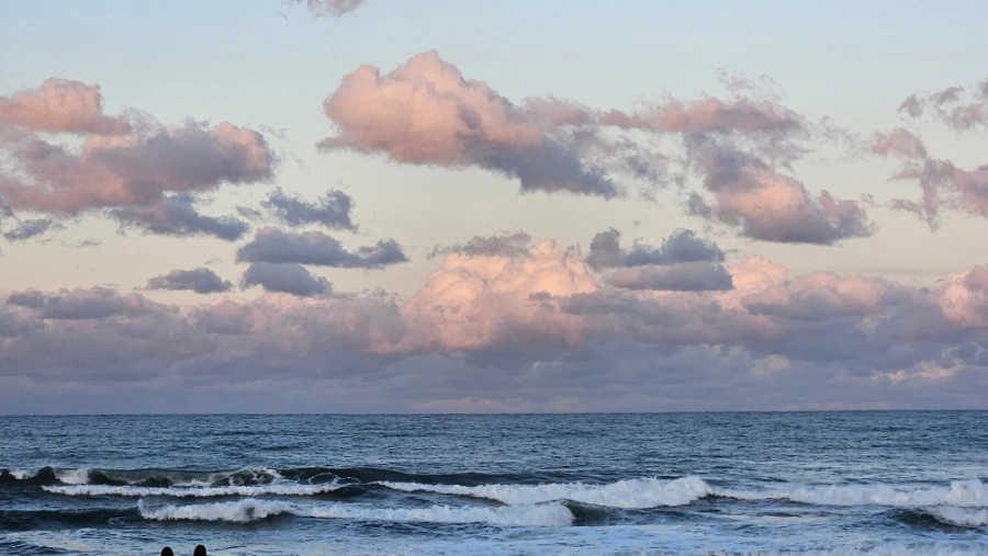 20231111%EF%BC%BF170148.jpg?type=w1