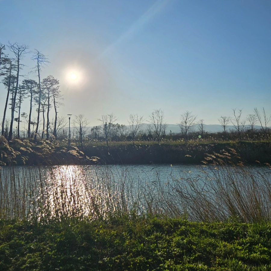 20231112%EF%BC%BF155508.jpg?type=w1