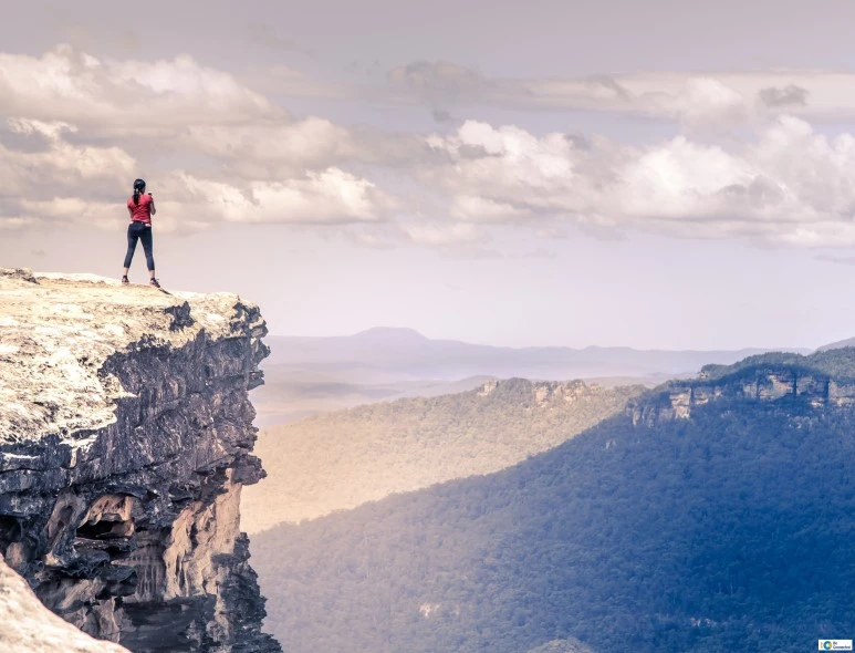 image_4874802671516508213776.jpg?type=w773