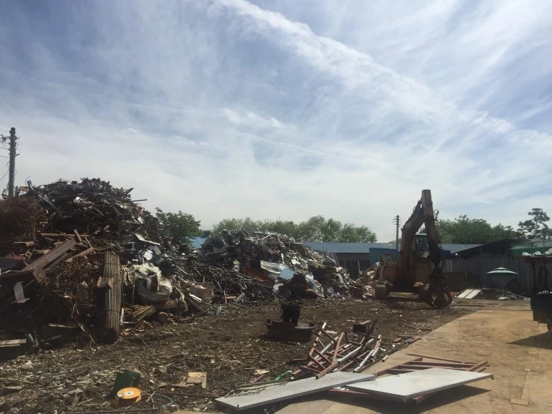 IMG_8595.JPG?type=w773