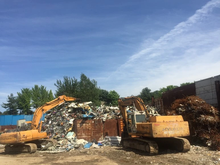 IMG_8596.JPG?type=w773