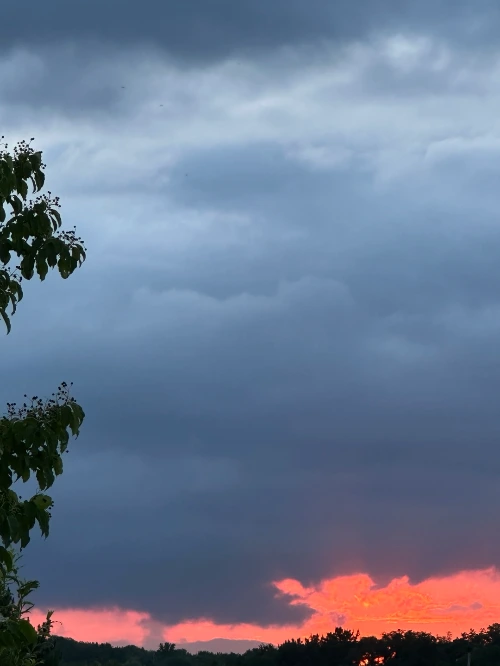 눈칫밥과 계란프라이.jpeg