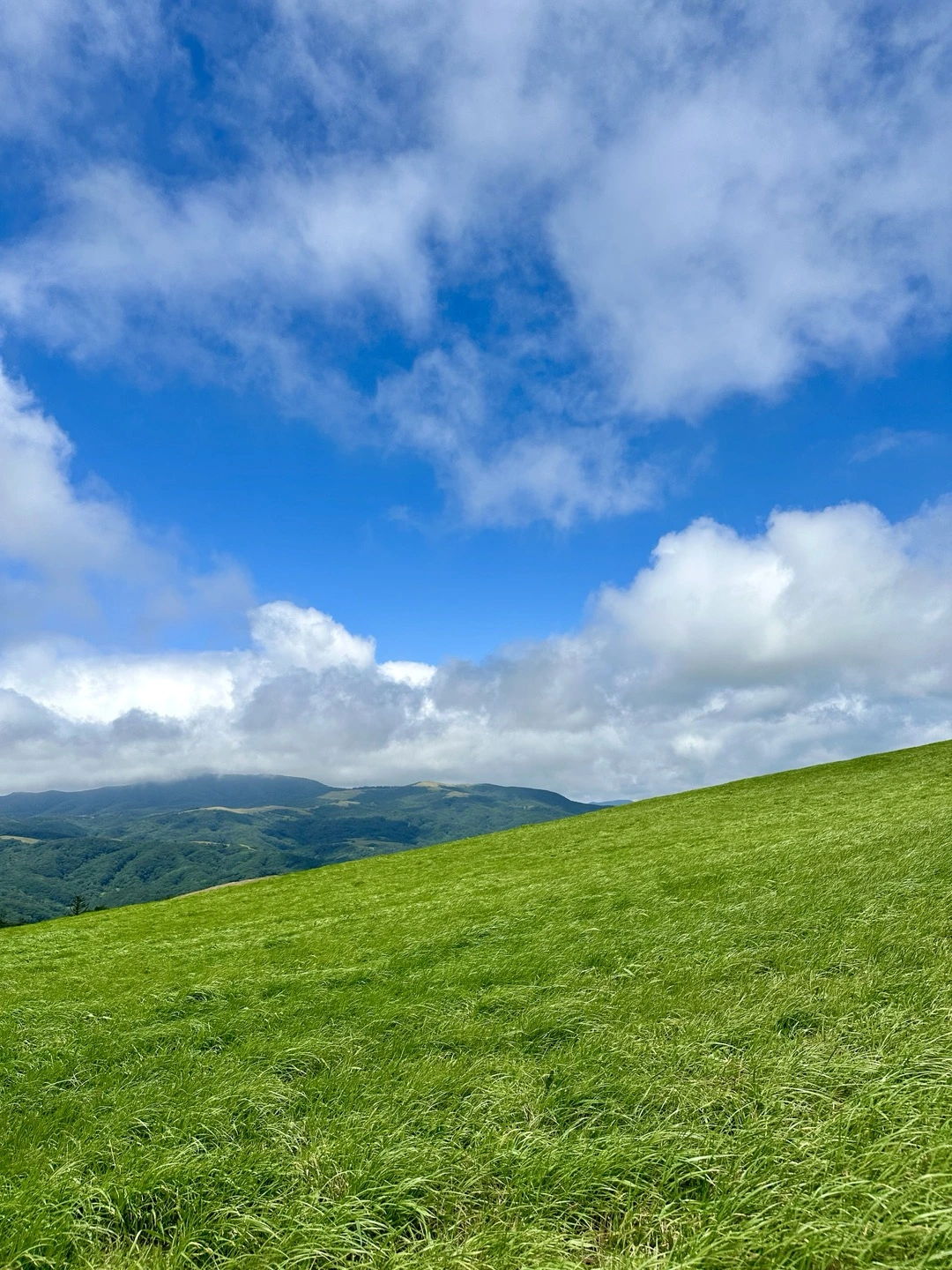 KakaoTalk_Photo_2024-08-02-06-49-57 006.jpeg