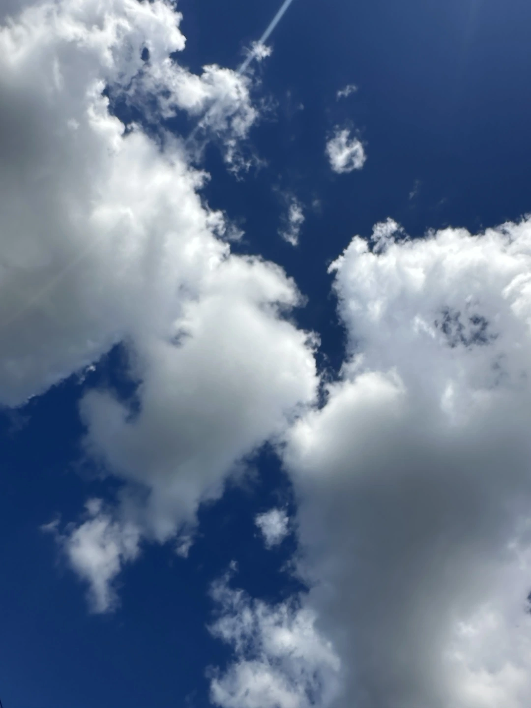 KakaoTalk_Photo_2025-07-28-16-50-37 008.jpeg