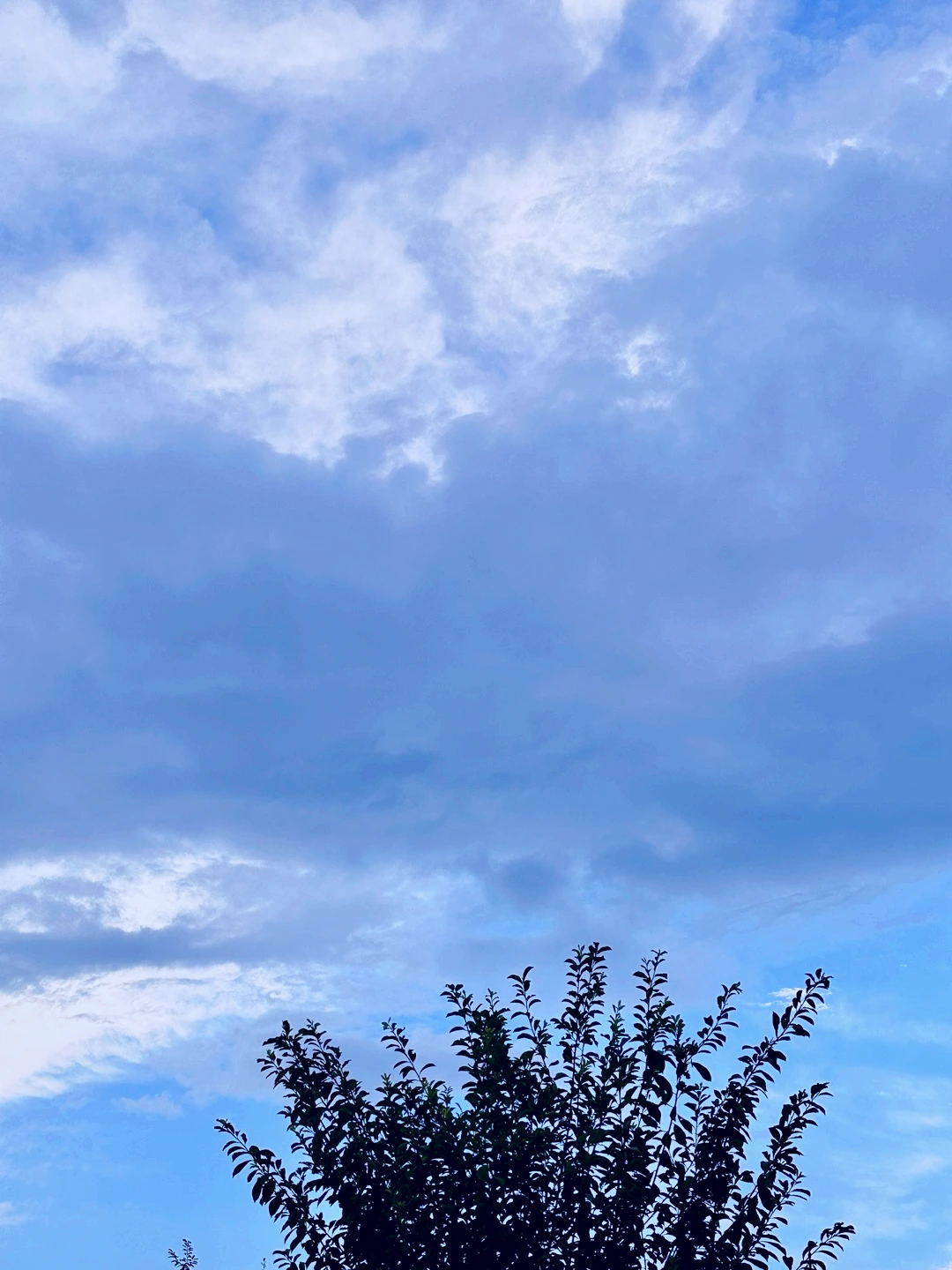 KakaoTalk_Photo_2025-08-06-19-05-33 007.jpeg