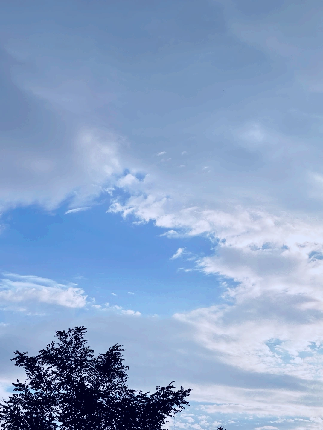 KakaoTalk_Photo_2025-08-06-19-05-33 002.jpeg