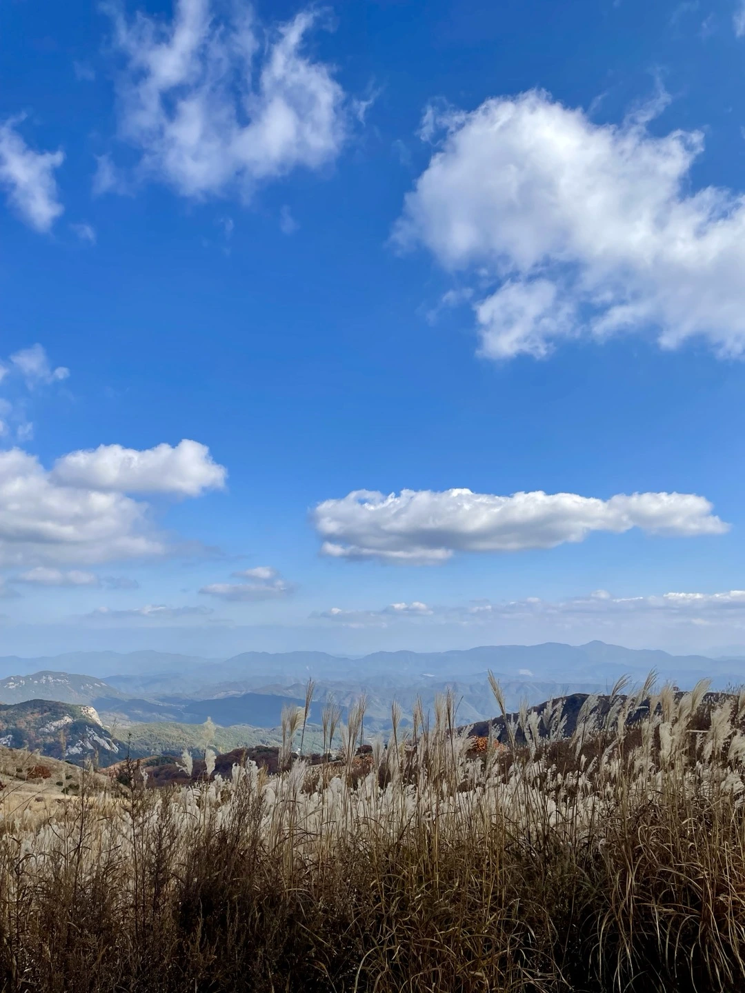 KakaoTalk_Photo_2024-11-22-19-49-09 002.jpeg