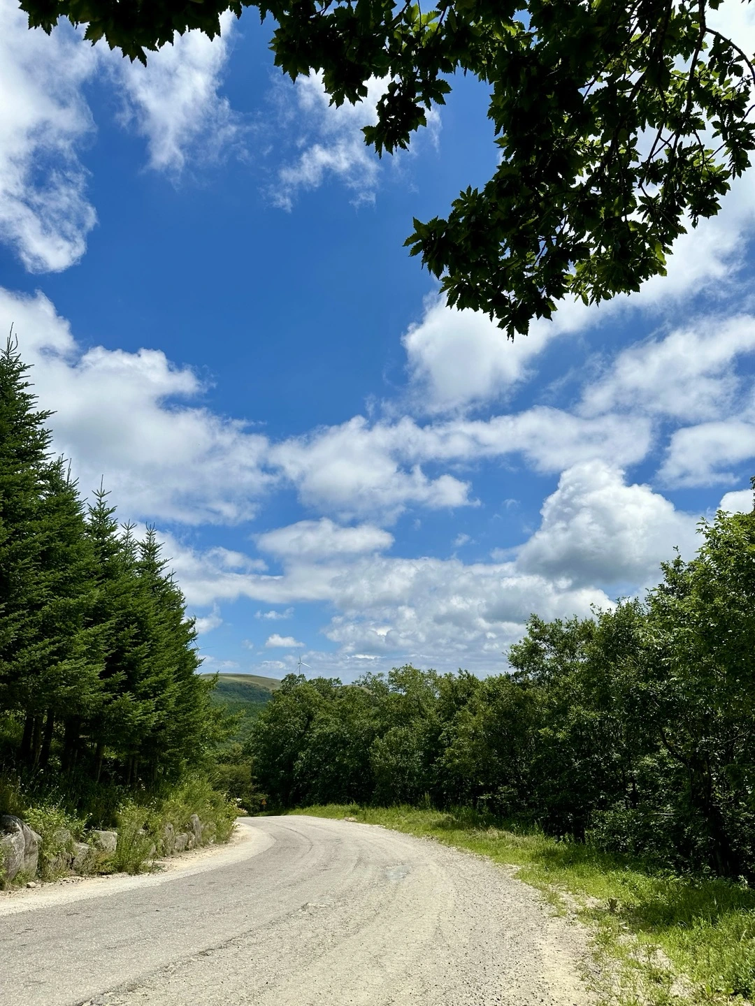 하늘과 길.jpeg