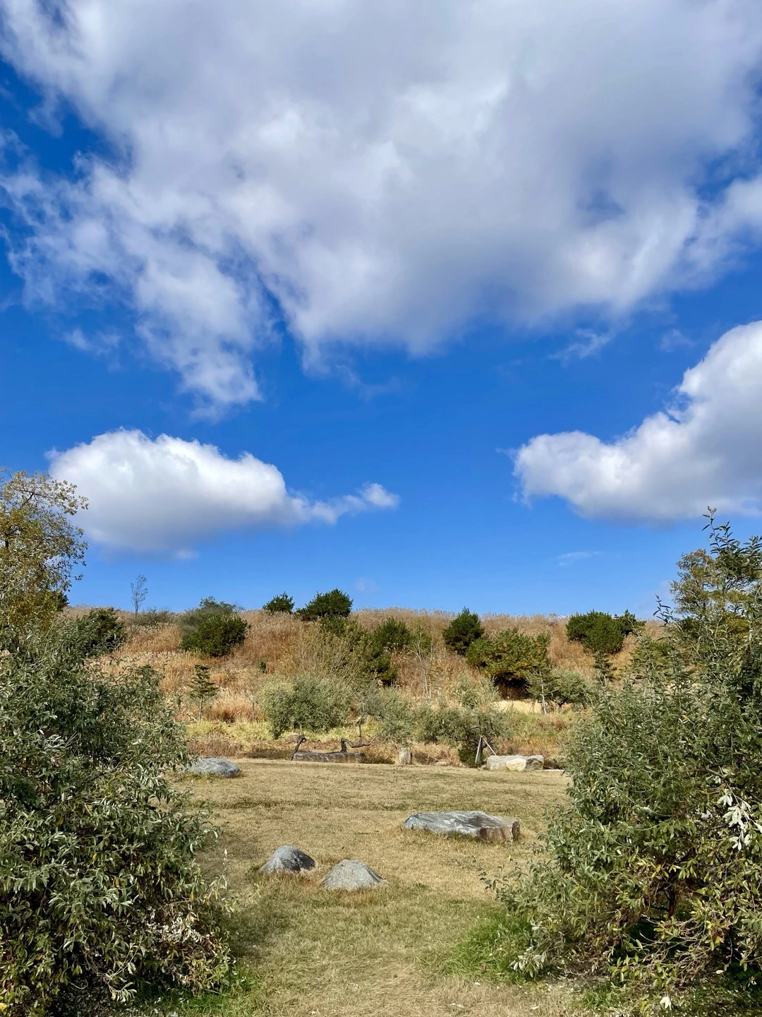 KakaoTalk_Photo_2024-11-22-19-49-09 003.jpeg