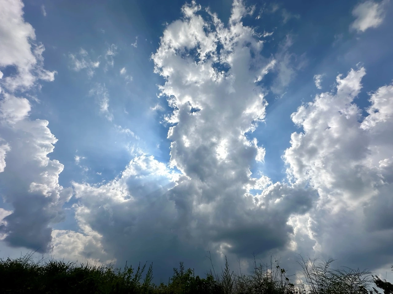 KakaoTalk_Photo_2024-08-12-07-07-57 007.jpeg