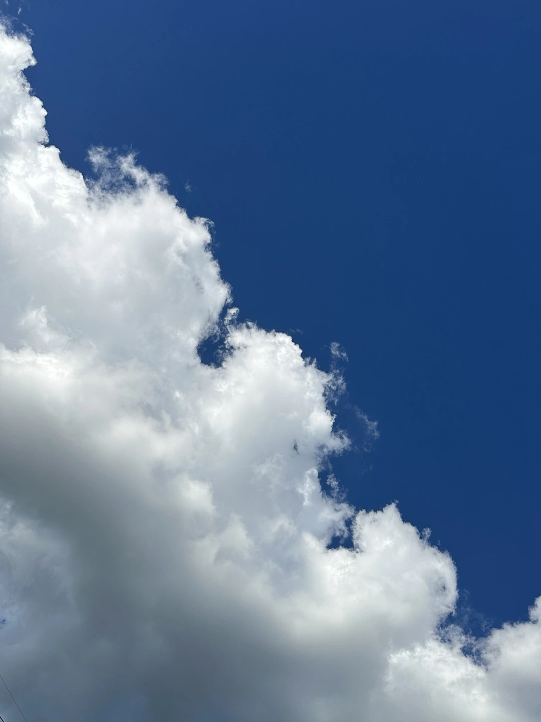 KakaoTalk_Photo_2025-07-28-16-50-37 007.jpeg