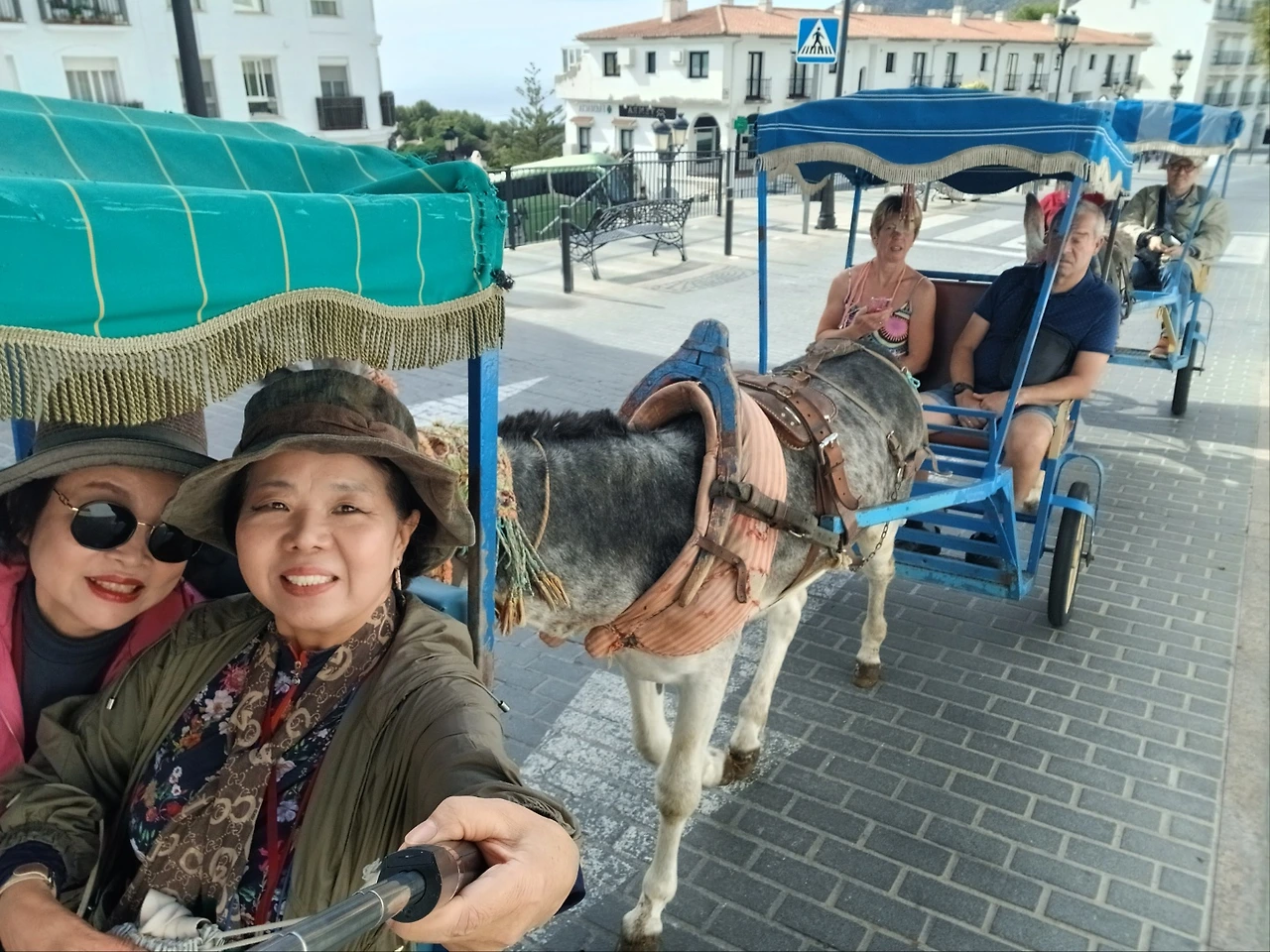 미하스 당나귀 택시 기차.jpeg