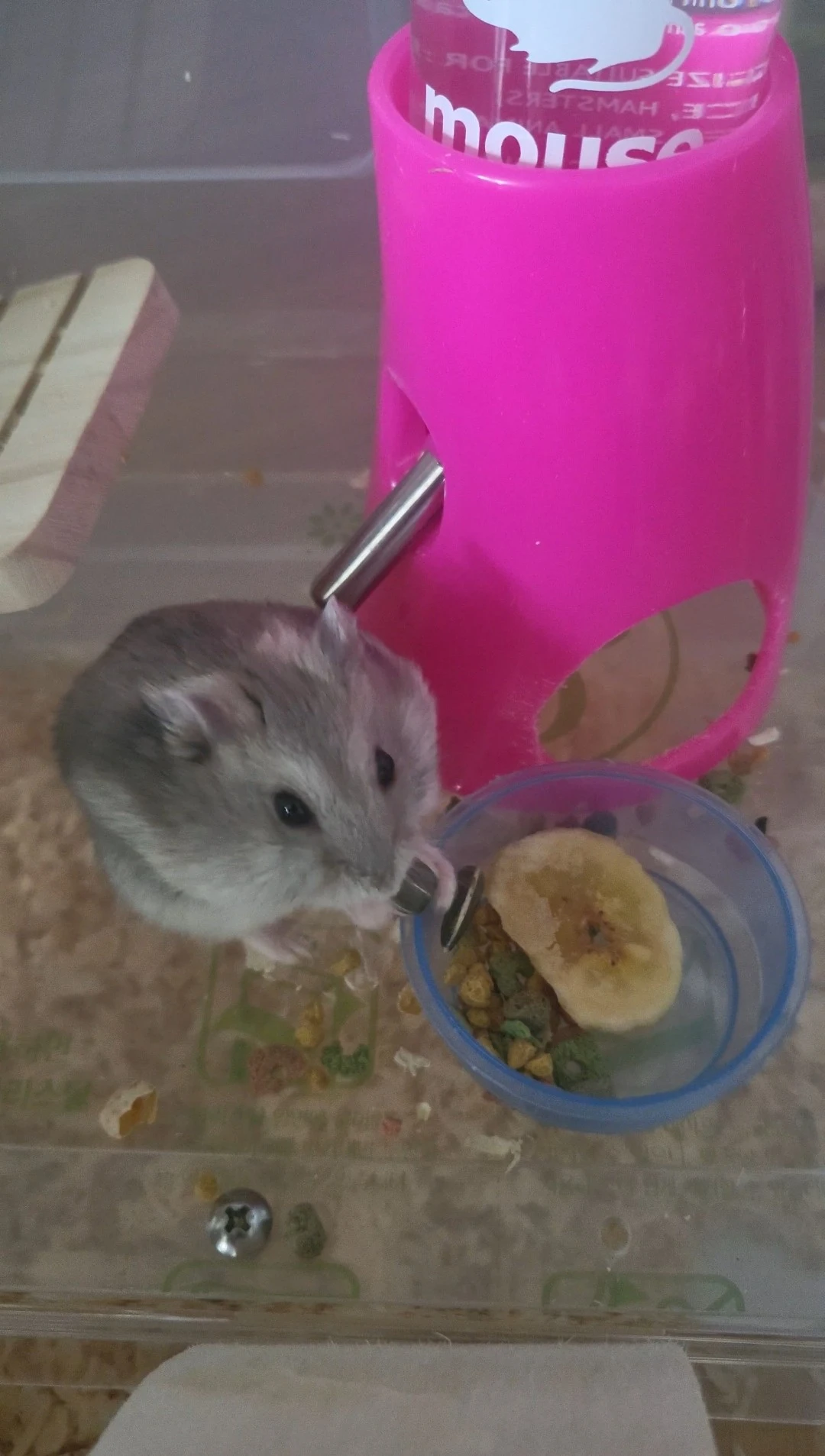 SE-1d217812-0ea5-4ea0-9e52-1f91d1b9b097.jpg?type=w1600