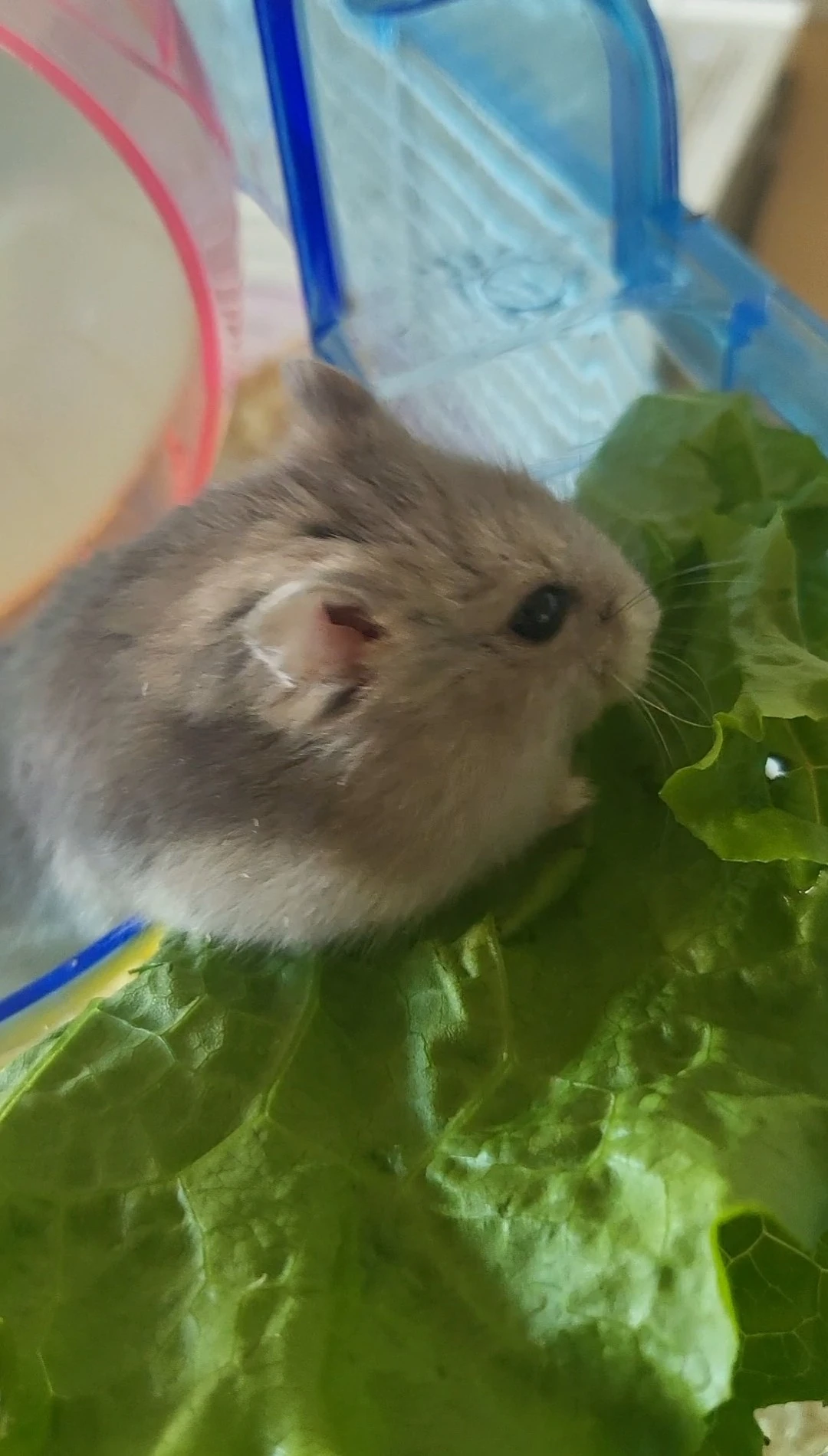 SE-6081fc37-a02b-41d8-9663-cab7652b41e2.jpg?type=w1600