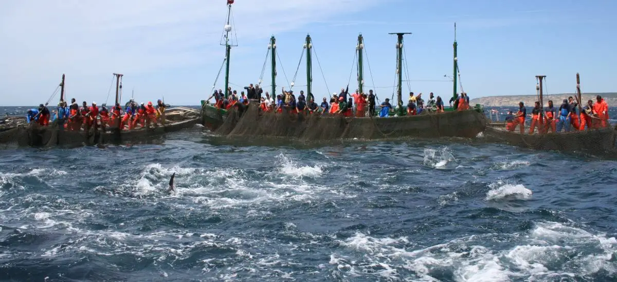 IMG_0423%20copia.jpg?h=d668167d&itok=JKZKVGjo