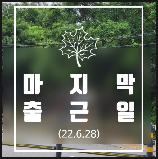 SE-1b3e5bc1-e3e4-48f0-88ee-6885181c791e.png?type=w773