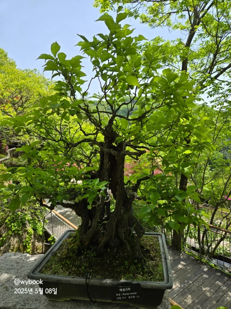 900%EF%BC%BF20250508%EF%BC%BF120422.jpg?type=w773