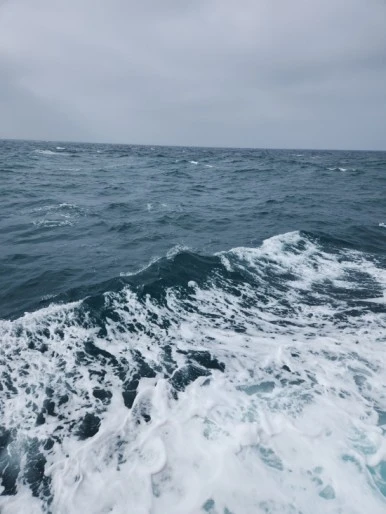 20240329%EF%BC%BF093908.jpg?type=w386