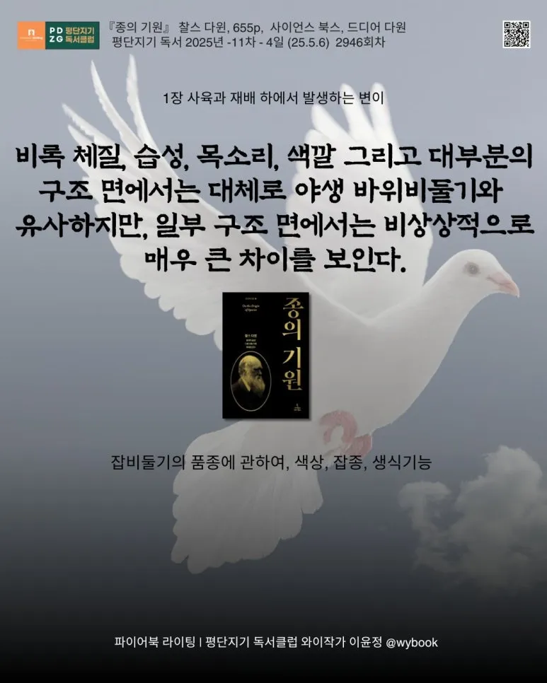 2946_%EC%9E%A1%EB%B9%84%EB%91%98%EA%B8%B0_.jpg?type=w773