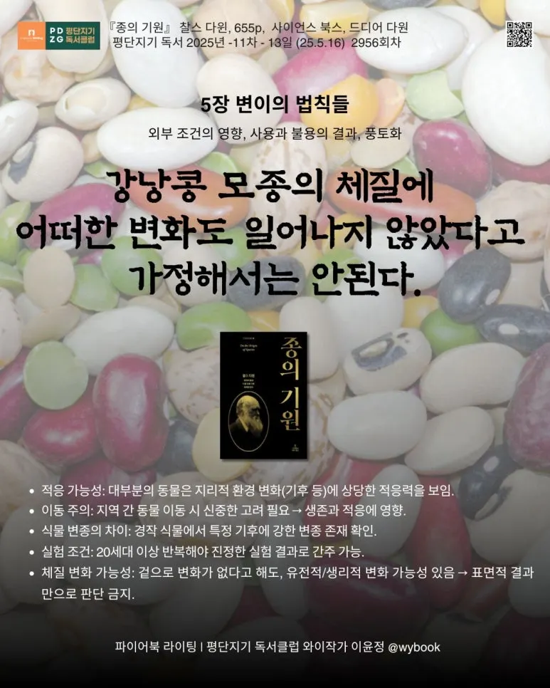 2957_%EB%B3%80%EC%9D%B4%EC%9D%98_%EB%B2%95%EC%B9%99%EB%93%A4.jpg?type=w773