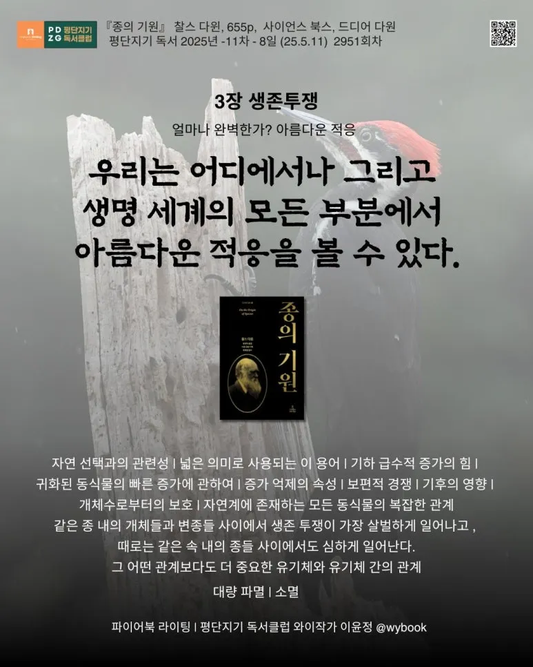 2951_3%EC%9E%A5_%EC%83%9D%EC%A1%B4%ED%88%AC%EC%9F%81_-_%EC%96%BC%EB%A7%88%EB%82%98_%EC%99%84%EB%B2%BD%ED%95%9C%EA%B0%80_%EC%95%84%EB%A6%84%EB%8B%A4%EC%9A%B4_%EC%A0%81%EC%9D%91_%EB%8C%80%EB%9F%89_%ED%8C%8C%EB%A9%B8_%EC%86%8C%EB%A9%B8.jpg?type=w773