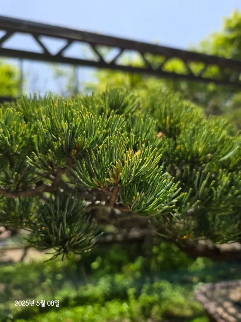 900%EF%BC%BF20250508%EF%BC%BF123441.jpg?type=w773