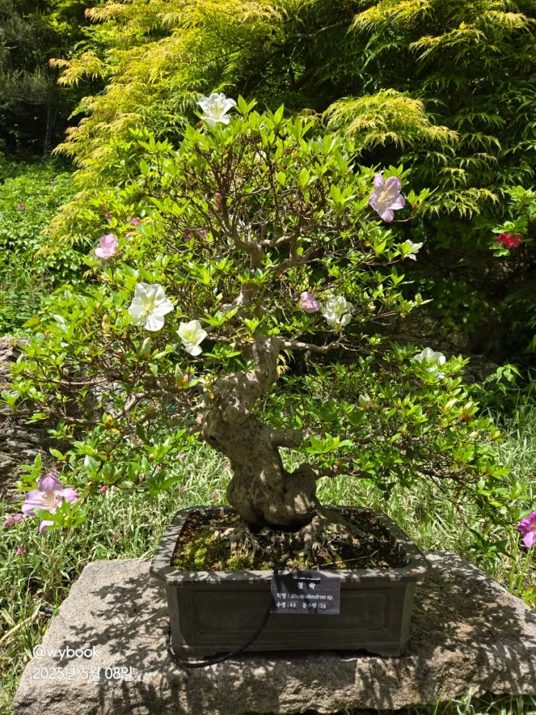 900%EF%BC%BF20250508%EF%BC%BF120520.jpg?type=w773