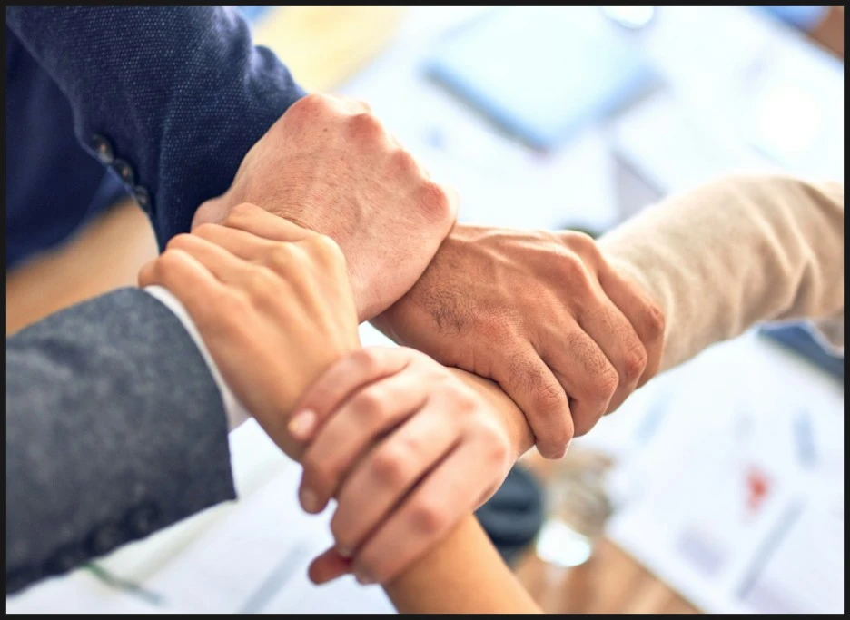 SE-a6c4c748-7c9d-42fa-9ff0-4555c7560e01.jpg?type=w1