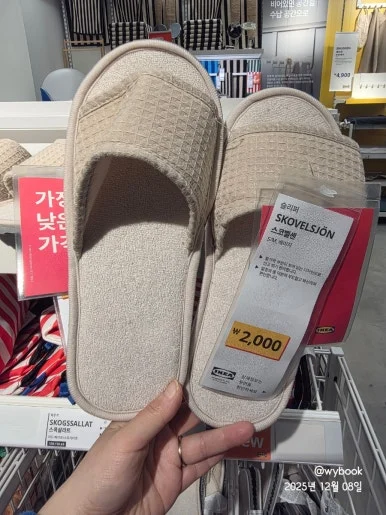 900%EF%BC%BF20251208%EF%BC%BF134642.jpg?type=w386