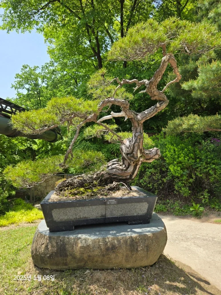 900%EF%BC%BF20250508%EF%BC%BF123423.jpg?type=w773