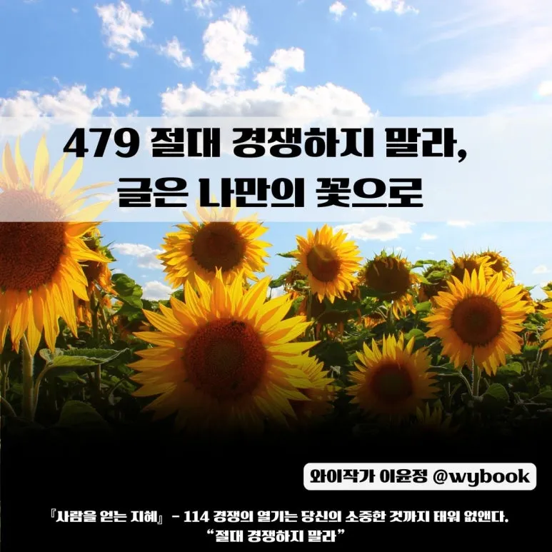 479__%EC%A0%88%EB%8C%80_%EA%B2%BD%EC%9F%81%ED%95%98%EC%A7%80_%EB%A7%90%EB%9D%BC,__%EA%B8%80%EC%9D%80_%EB%82%98%EB%A7%8C%EC%9D%98_%EA%BD%83%EC%9C%BC%EB%A1%9C.jpg?type=w773