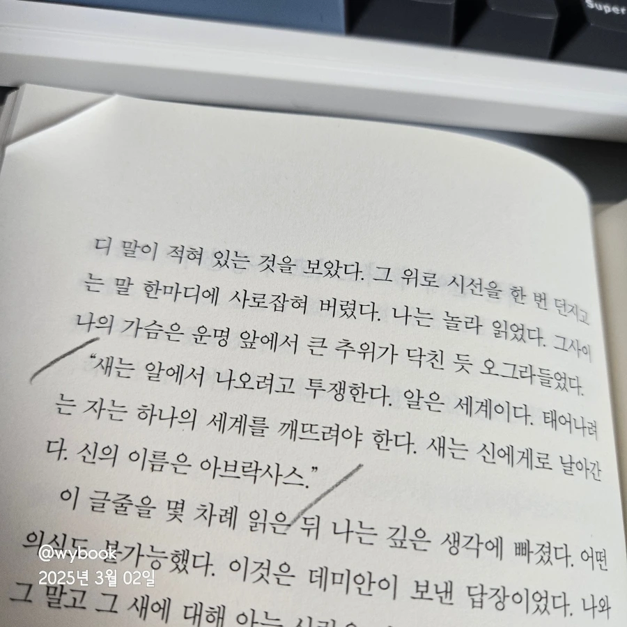 900%EF%BC%BF20250302%EF%BC%BF061546.jpg?type=w1