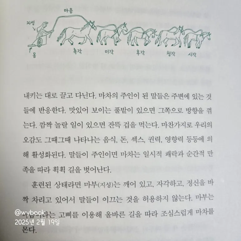 %EB%A7%88%EB%B6%80%EC%9D%98_%EB%94%9C%EB%A0%88%EB%A7%88.jpg?type=w773