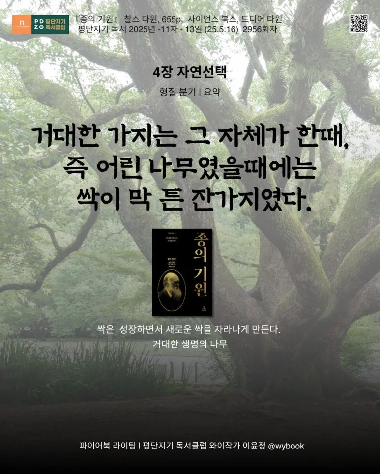 2956_%EC%9E%90%EC%97%B0%EC%84%A0%ED%83%9D_4.jpg?type=w773