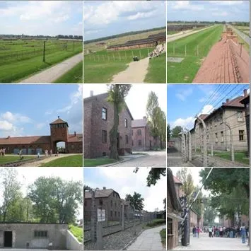 죽음의 수용소에서.JPG