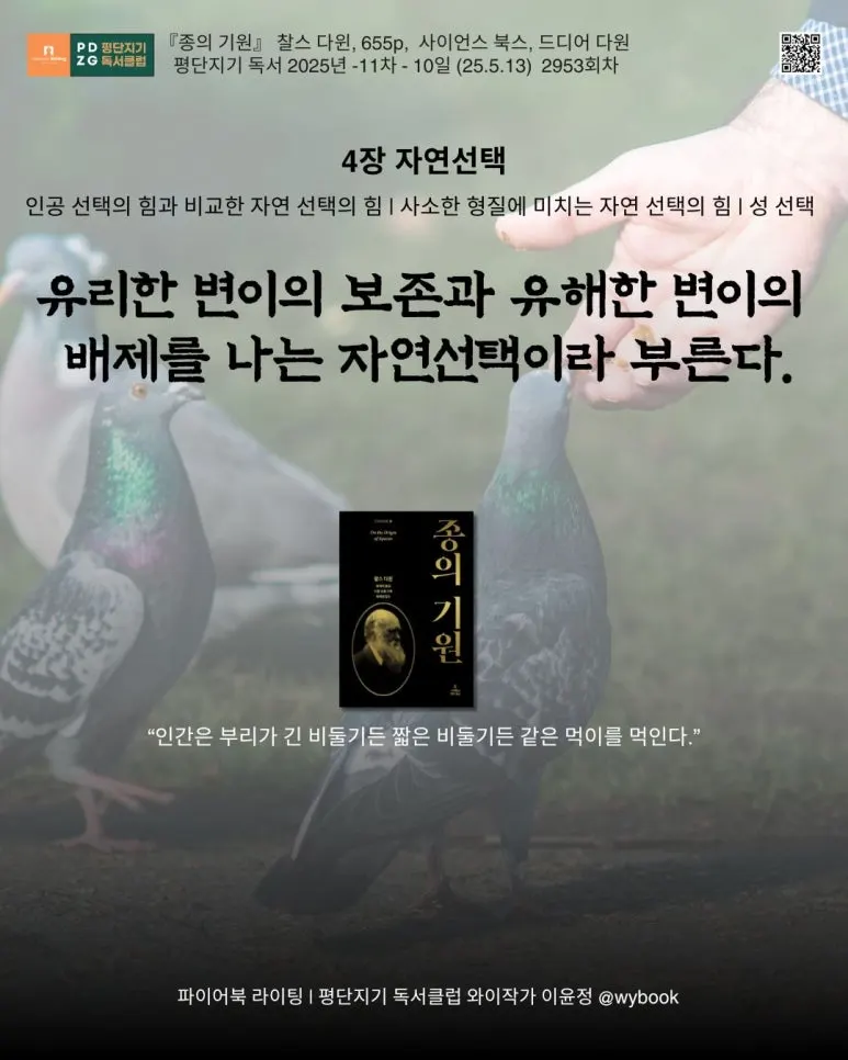 2953_%EC%9E%90%EC%97%B0%EC%84%A0%ED%83%9D_1.jpg?type=w773