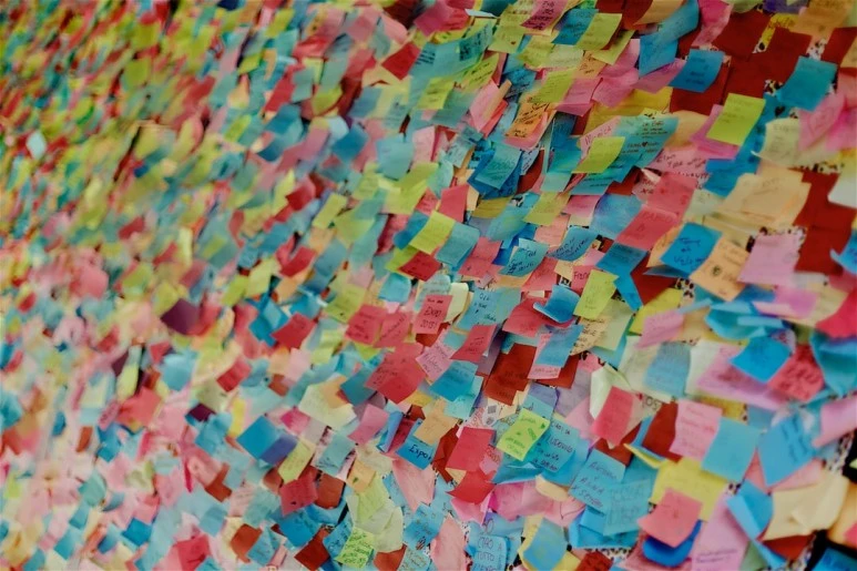 photo-1575039103713-f26f74b4784d.jpg?type=w773