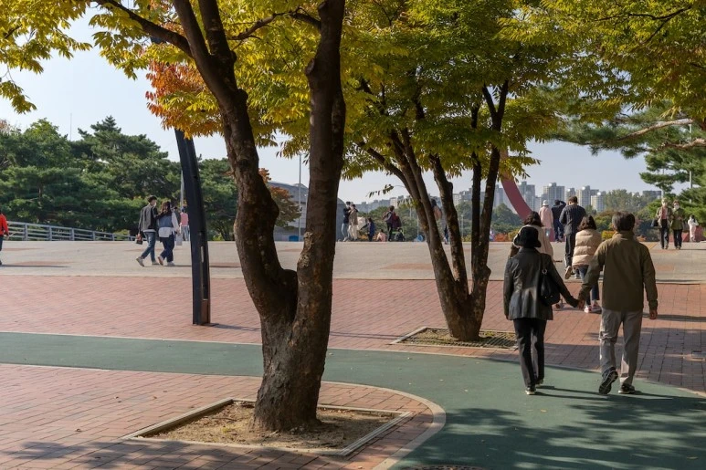 photo-1635176131765-bcdcad5ce466.jpg?type=w773