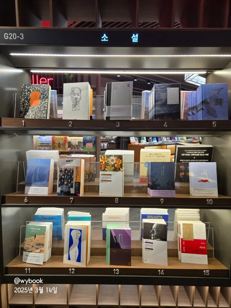 900%EF%BC%BF20250314%EF%BC%BF142702.jpg?type=w773