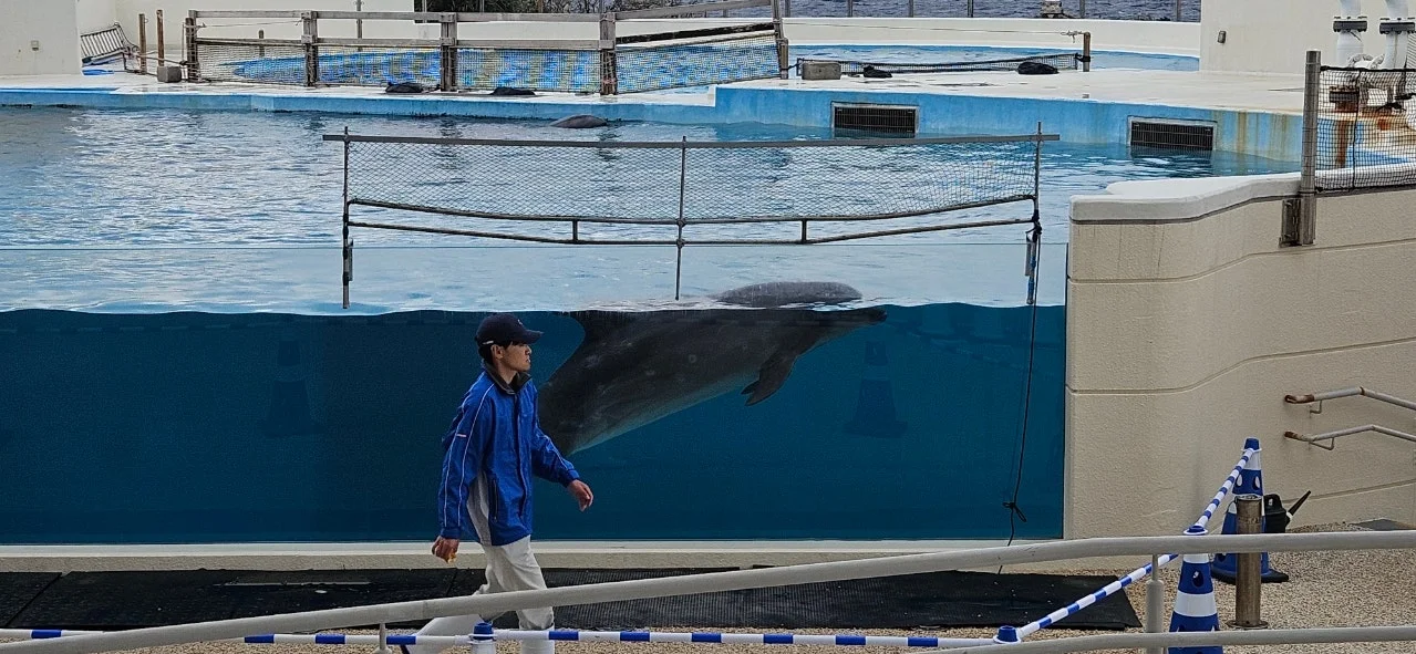 1280%EF%BC%BF20250204%EF%BC%BF144704.jpg?type=w1600