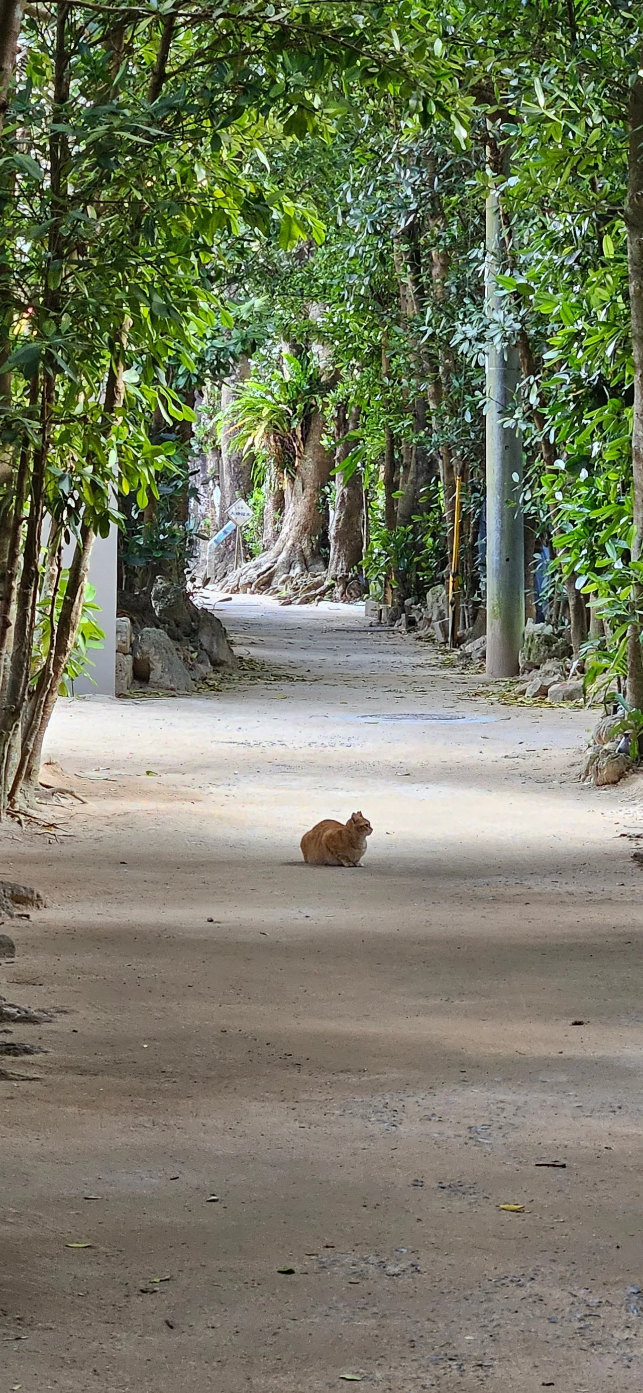 1280%EF%BC%BF20250205%EF%BC%BF090410.jpg?type=w1600