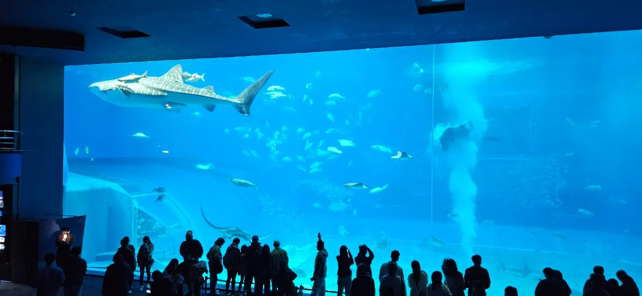 1280%EF%BC%BF20250204%EF%BC%BF154144.jpg?type=w1600