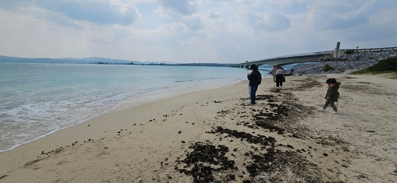 1280%EF%BC%BF20250205%EF%BC%BF115707.jpg?type=w1600