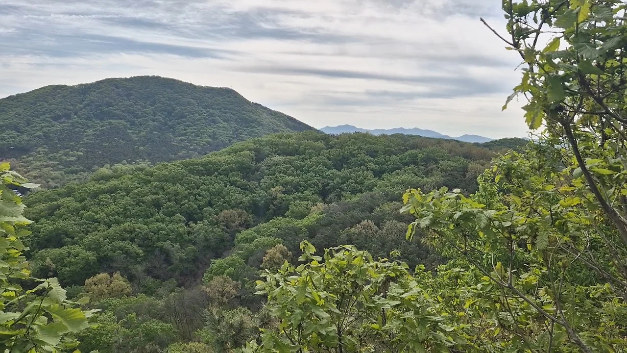 AD_4nXfjuVlkNDxWJjaJNvmOd50Q2E3sVNPSOkWfHBHiECttjp3X7uTtlxqkU5vMn1tpLA1hRUABgtMpbHbc8EmADzBtxn6cXoLzeCYcZPdmcdlLk04P6lq6UMEcgzmQKxFghrePAIRG?key=ra21ZLwdU-wGYDBfDBNfB7He