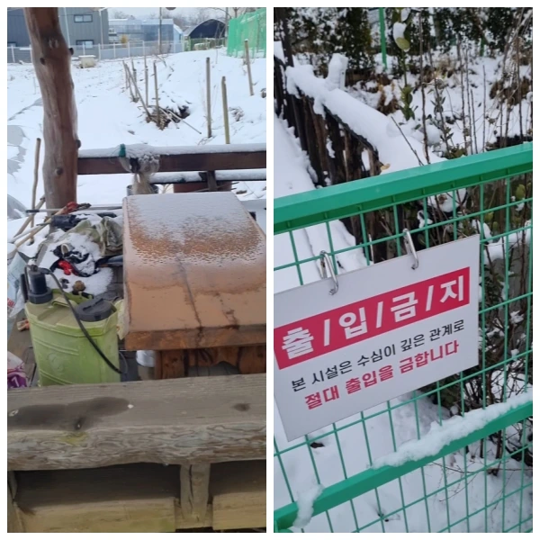 %EC%9B%90%EB%91%90%EB%A7%89-%ED%8E%9C%EC%8A%A4.jpg?resize=600%2C600&ssl=1