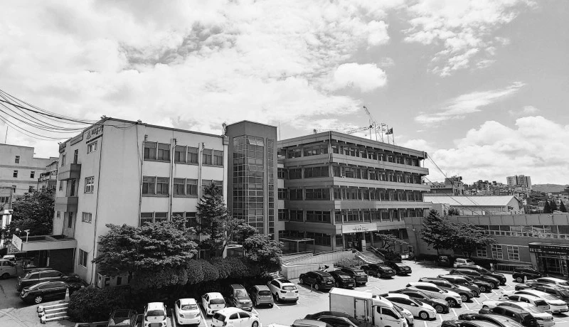 image-5.jpeg?resize=800%2C460&ssl=1