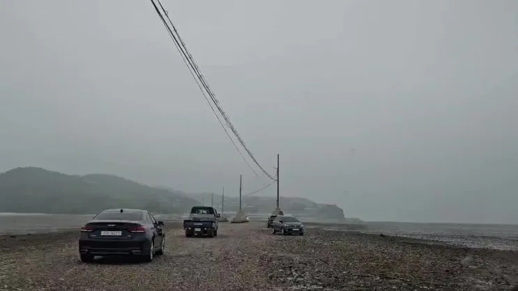 99neB9URdp_01.jpg?type=w2