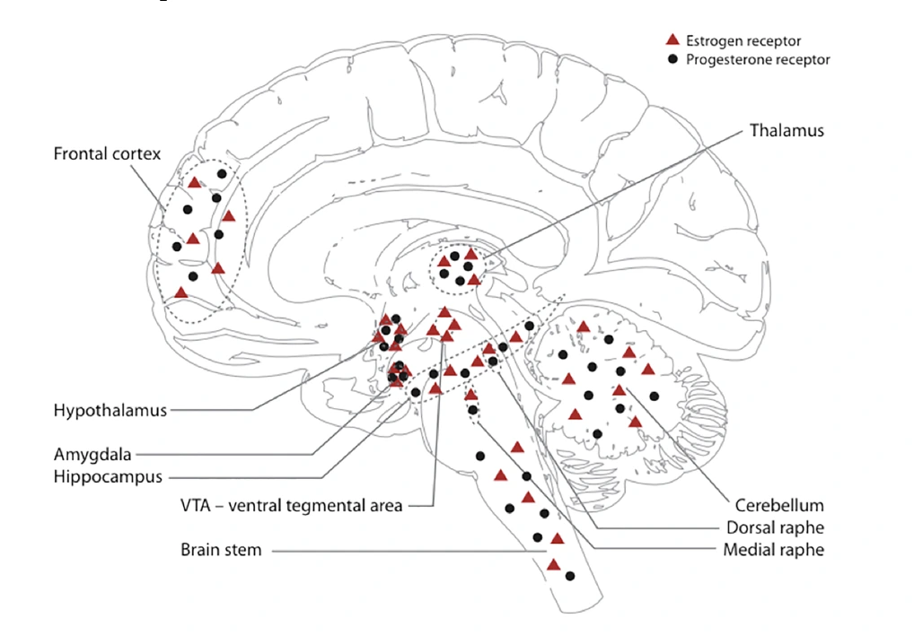 AD_4nXf3X_X37cD9FvAy5Up1uj6UJbjmJcPO52wJmxo5DRmlam-kApt3AaEW6GEwy90pLvd2lbPjPvpKLMfYkQ65_T9QLf2ErG1IU-9p4CziTeGW8Ai42vs_NesEsVZJHcp1lfWoJR5a?key=OBKyBQrfyiprtzWYlQ-t3A
