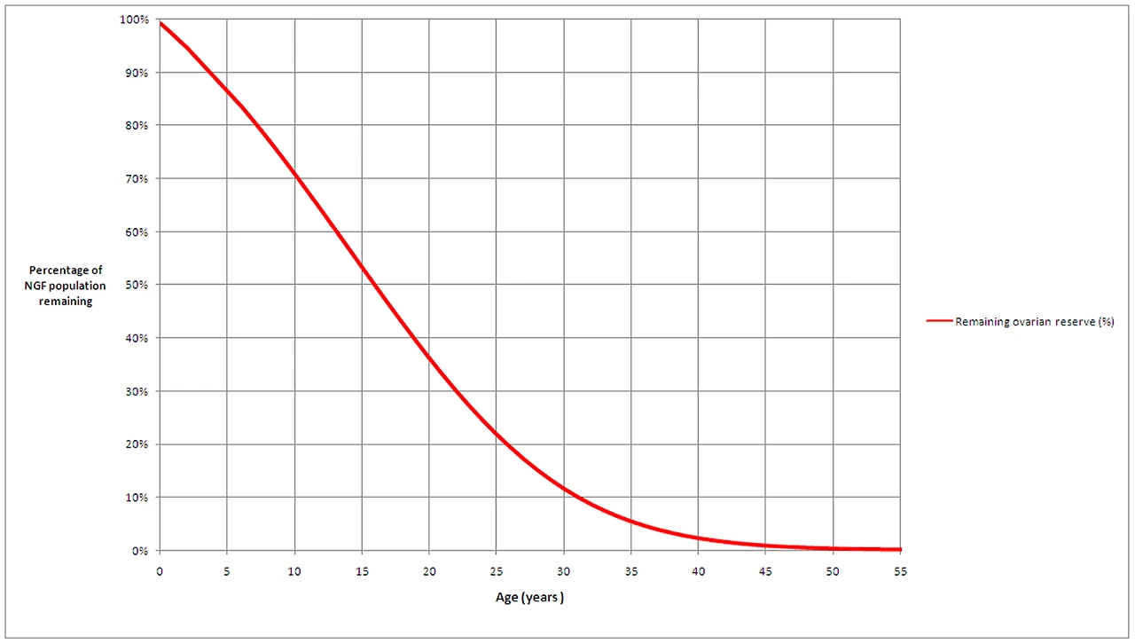 AD_4nXfjm4pzjWrKgRkqNHklKaeccE21MitI2mDS7jI3gBEuqNhwj_-0XY6pJYuZkVi7nNnh51DdjiEPd8NaVog-s__2kA9UW1AiijIgsKY3A4wPDlsvORDGvhXqfwaYxqpAPzrlKDtDhamkAhBgnwcwF63LG-s3?key=toLptJ80zCMezrb-KNP2Bg