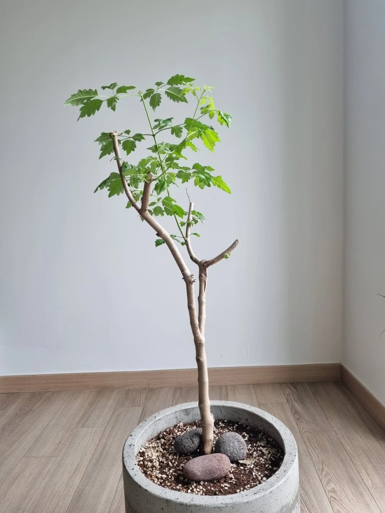 20230425_1238081.jpg?type=w773